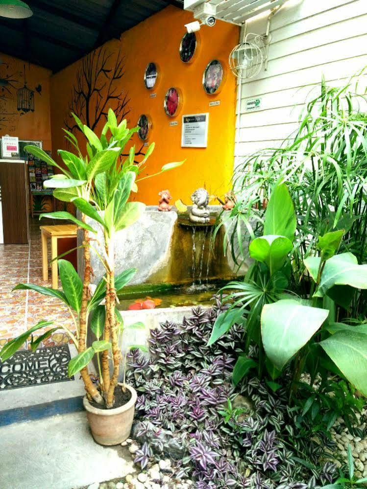 Yin Yang Guesthouse Chiang Mai Exterior foto